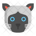 پیش‌نمایش فایل siamese-cat-7950217 از پک حیوان خانگی