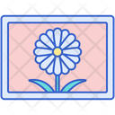 پیش‌نمایش فایل landscape-7950263 از پک عکاسی