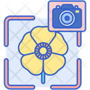 پیش‌نمایش فایل macro-photography-7950269 از پک عکاسی