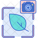 پیش‌نمایش فایل nature-photography-7950272 از پک عکاسی