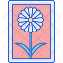 پیش‌نمایش فایل portrait-7950292 از پک عکاسی