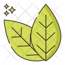 پیش‌نمایش فایل bay-leaf-7953810 از پک گیاهان دارویی و ادویه‌ها