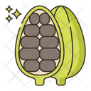 پیش‌نمایش فایل cardamom-7953811 از پک گیاهان دارویی و ادویه‌ها