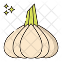پیش‌نمایش فایل garlic-7953824 از پک گیاهان دارویی و ادویه‌ها