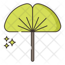 پیش‌نمایش فایل ginkgo-7953826 از پک گیاهان دارویی و ادویه‌ها