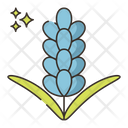 پیش‌نمایش فایل lavender-7953830 از پک گیاهان دارویی و ادویه‌ها