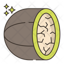 پیش‌نمایش فایل nutmeg-7953836 از پک گیاهان دارویی و ادویه‌ها