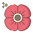 پیش‌نمایش فایل poppy-7953843 از پک گیاهان دارویی و ادویه‌ها