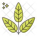 پیش‌نمایش فایل sage-7953847 از پک گیاهان دارویی و ادویه‌ها