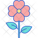 پیش‌نمایش فایل flowers-8051511 از پک منظره