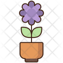 پیش‌نمایش فایل flowers-8051596 از پک منظره