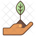 پیش‌نمایش فایل planting-8051631 از پک منظره