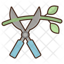 پیش‌نمایش فایل pruning-8051638 از پک منظره