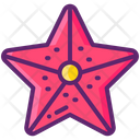 پیش‌نمایش فایل starfish-8051992 از پک غذاهای دریایی