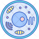 پیش‌نمایش فایل eukaryotic-organism-7950001 از پک میکروب‌شناسی