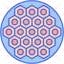 پیش‌نمایش فایل multicellular-cell-colony-7950028 از پک میکروب‌شناسی