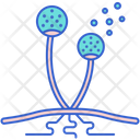 پیش‌نمایش فایل mushroom-7950004 از پک میکروب‌شناسی