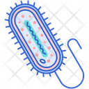 پیش‌نمایش فایل prokaryotic-organism-7950040 از پک میکروب‌شناسی