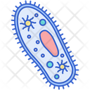 پیش‌نمایش فایل protozoa-7950042 از پک میکروب‌شناسی