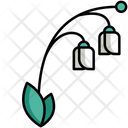 پیش‌نمایش فایل lily-7952177 از پک ایتالیا