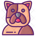 پیش‌نمایش فایل french-bulldog-7951582 از پک فرانسه
