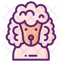 پیش‌نمایش فایل french-poodle-7951587 از پک فرانسه