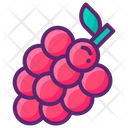پیش‌نمایش فایل grapes-7951594 از پک فرانسه