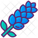 پیش‌نمایش فایل lavender-7951600 از پک فرانسه