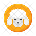 پیش‌نمایش فایل french-poodle-7953895 از پک فرانسه