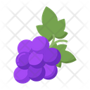 پیش‌نمایش فایل grapes-7953902 از پک فرانسه