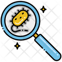 پیش‌نمایش فایل identify-bacteria-7954396 از پک میکروب‌شناسی