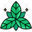 پیش‌نمایش فایل basil-8048933 از پک ایتالیا