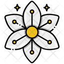 پیش‌نمایش فایل lily-8048969 از پک ایتالیا