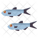پیش‌نمایش فایل fish-8049534 از پک اسپانیا