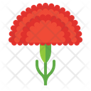 پیش‌نمایش فایل red-carnation-8049561 از پک اسپانیا