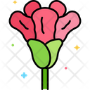 پیش‌نمایش فایل red-carnation-8050875 از پک اسپانیا