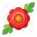 پیش‌نمایش فایل peony-8050970 از پک چین