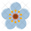 پیش‌نمایش فایل plum-blossom-8050971 از پک چین