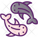 پیش‌نمایش فایل fish-pair-8051035 از پک چین