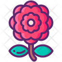 پیش‌نمایش فایل peony-8051055 از پک چین
