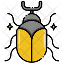 پیش‌نمایش فایل beetle-8051162 از پک جنگل