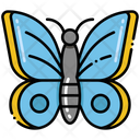 پیش‌نمایش فایل butterfly-8051168 از پک جنگل