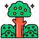 پیش‌نمایش فایل forest-fruits-8051186 از پک جنگل