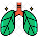 پیش‌نمایش فایل green-lungs-8051192 از پک جنگل