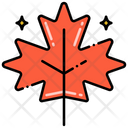 پیش‌نمایش فایل maple-leaf-8051202 از پک جنگل