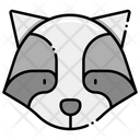 پیش‌نمایش فایل raccoon-8051217 از پک جنگل