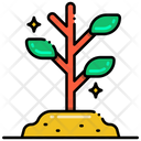 پیش‌نمایش فایل sapling-8051219 از پک جنگل