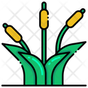 پیش‌نمایش فایل sedge-8051220 از پک جنگل
