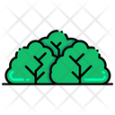 پیش‌نمایش فایل shrub-8051222 از پک جنگل