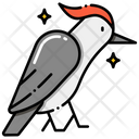 پیش‌نمایش فایل woodpecker-8051238 از پک جنگل